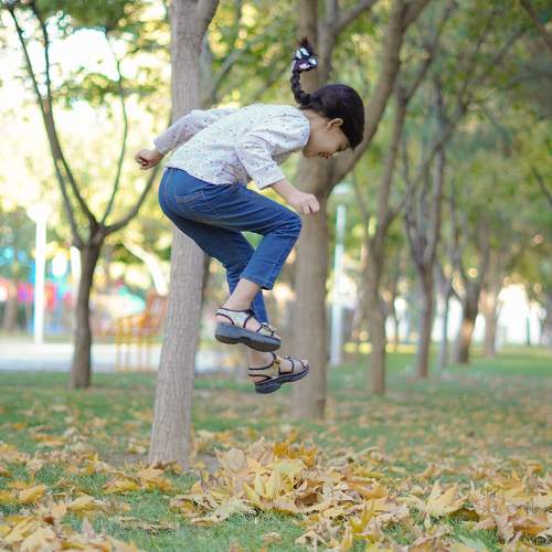 Photo #11776448