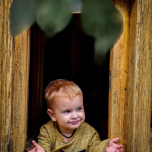 Photo #11776475