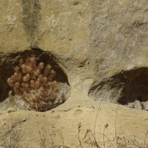 Photo #11776510