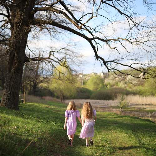 Photo #11776546