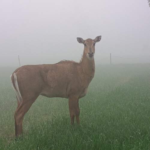Photo #11776780