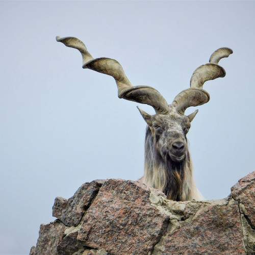 Photo #11776853