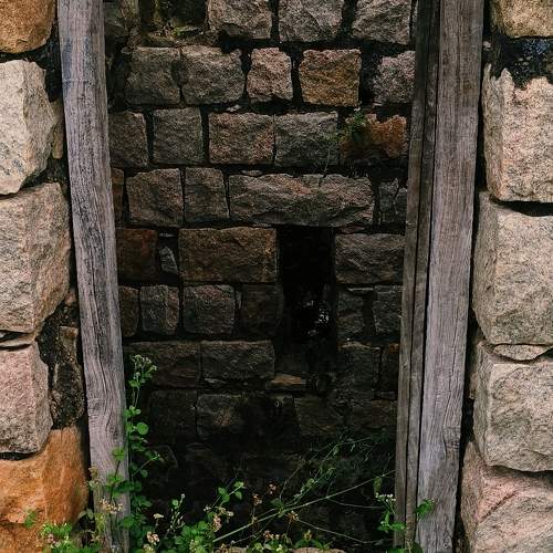 Photo #11776883