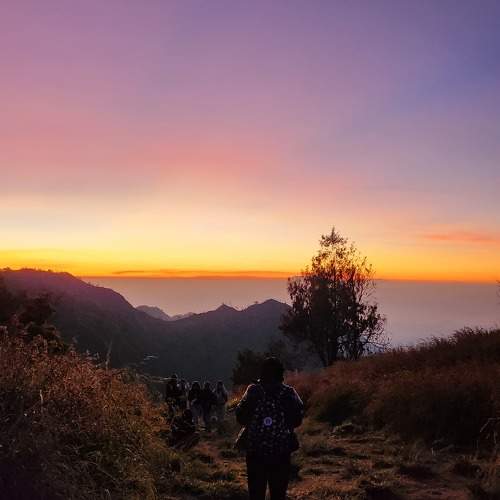 Photo #11776970