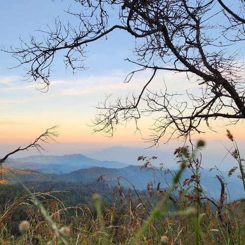 Photo #11776998