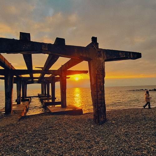 Photo #11777106