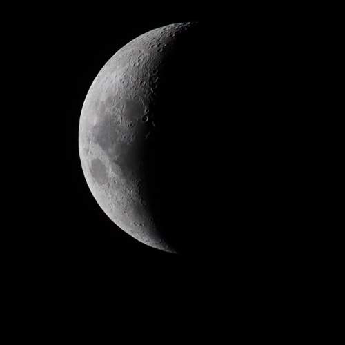 Photo #11777264