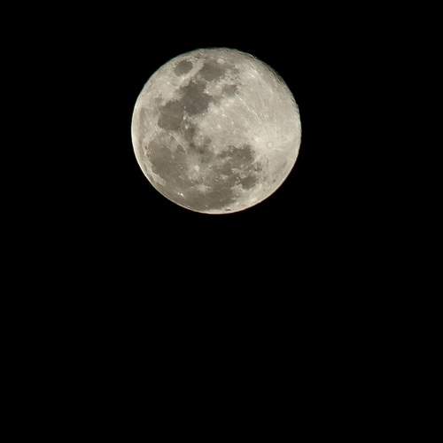 Photo #11777287
