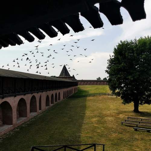 Photo #11777388