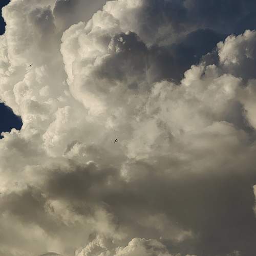 Photo #11777424