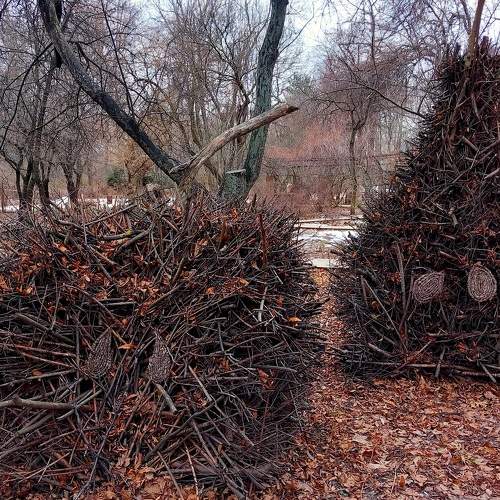 Photo #11777569