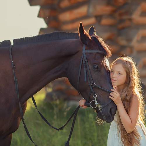 Photo #11777643