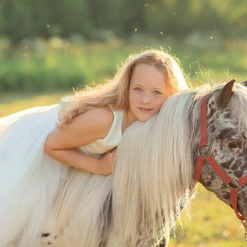 Photo #11777650