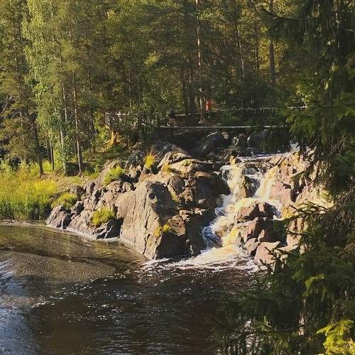 Photo #11777766
