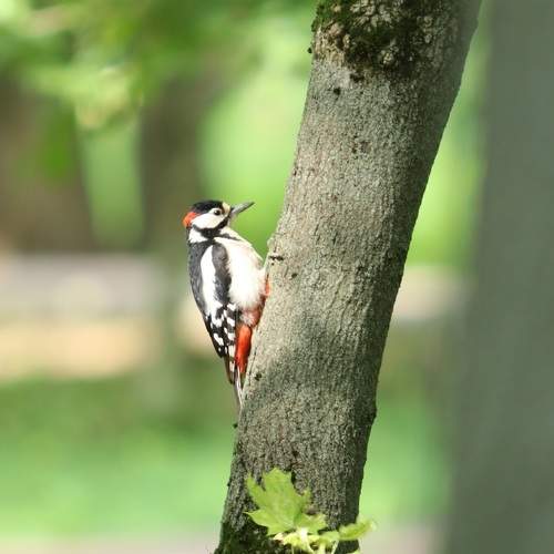 Photo #11777767