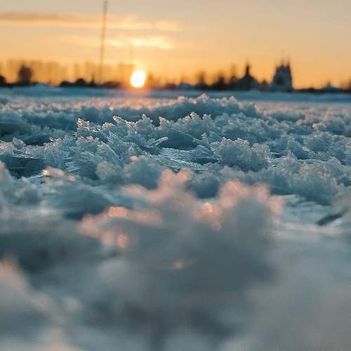 Photo #11777813