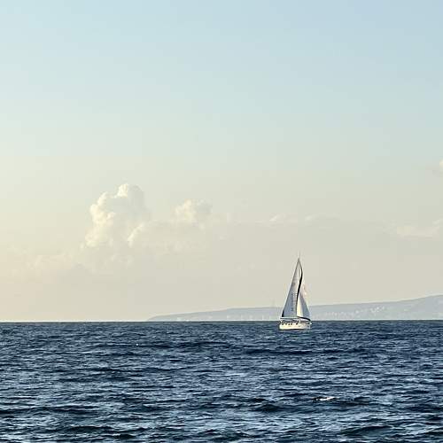 Photo #11778005