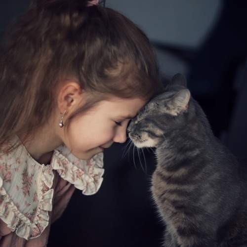 Photo #11778083