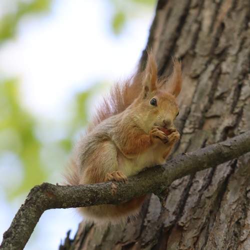 Photo #11778480