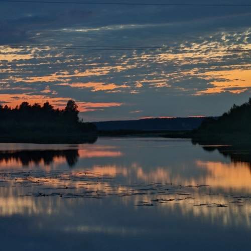 Photo #11778503