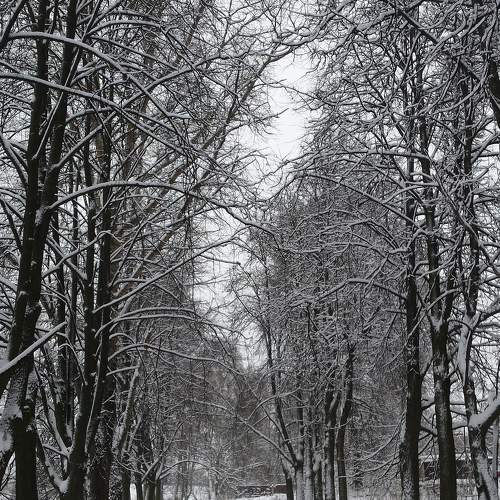 Photo #11778600