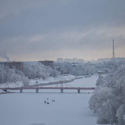 Photo #11778671