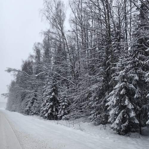 Photo #11778716