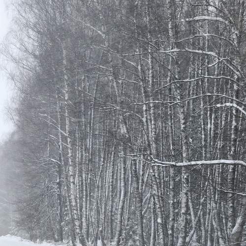 Photo #11778717