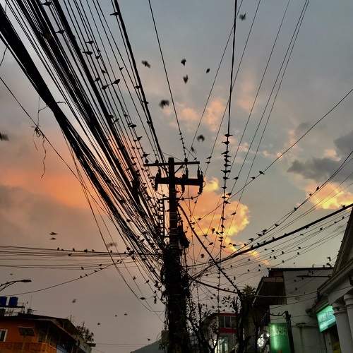 Photo #11778780