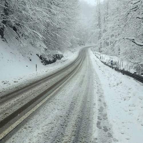 Photo #11779122