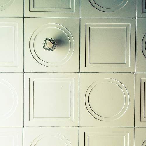 Photo #11779216