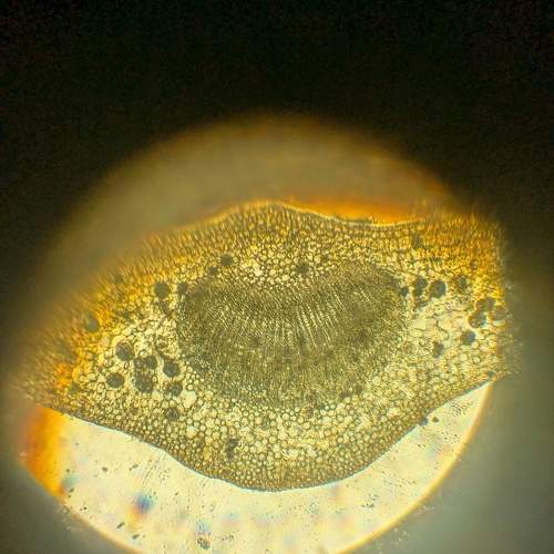 Photo #11779302