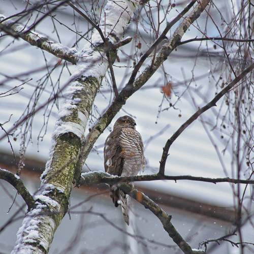 Photo #11779342