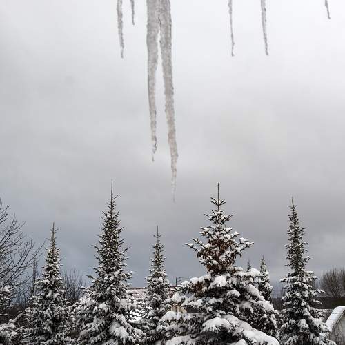 Photo #11779352