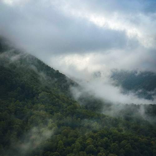 Photo #11779358