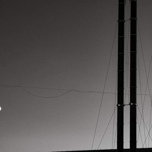 Photo #11779408