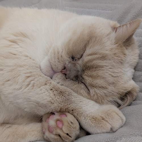 Photo #11779577