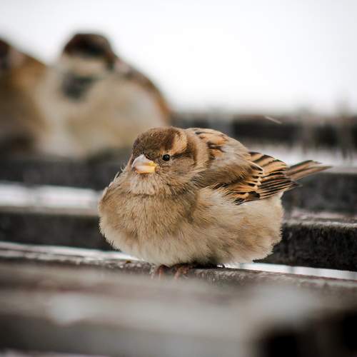 Photo #11779606