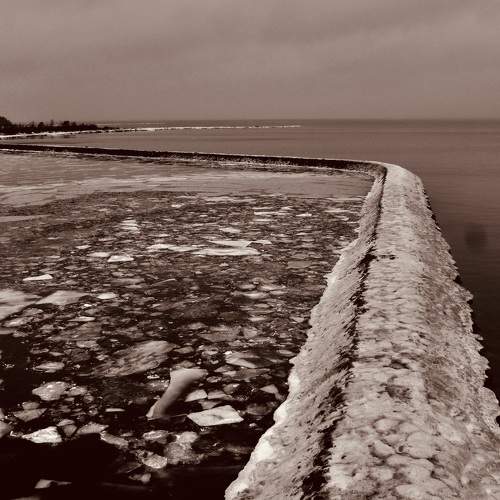 Photo #11779859