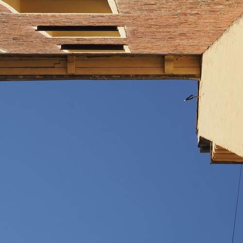 Photo #11779951