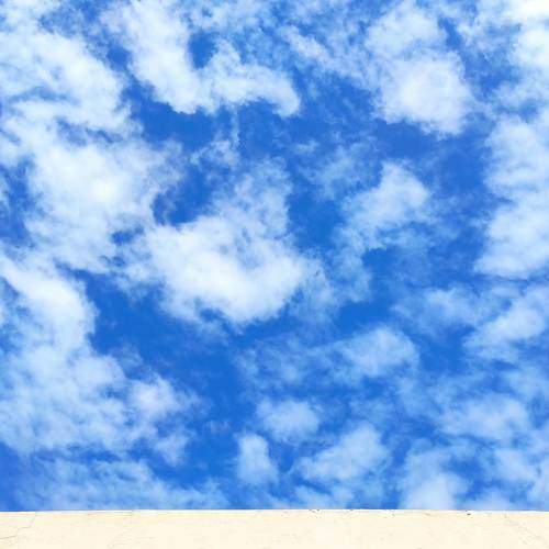 Photo #11780074
