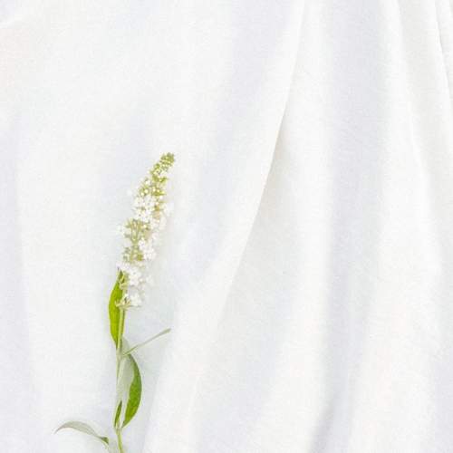 Photo #11780199