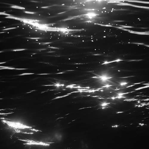 Photo #11780240