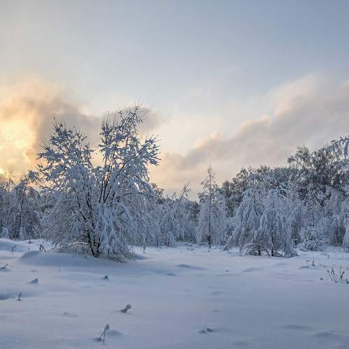 Photo #11780413