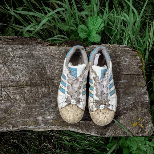 Photo #11780416