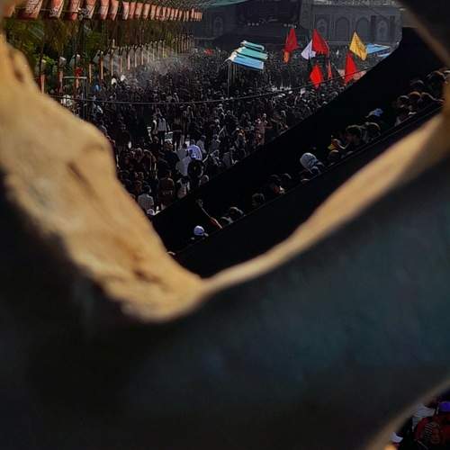 Photo #11780930