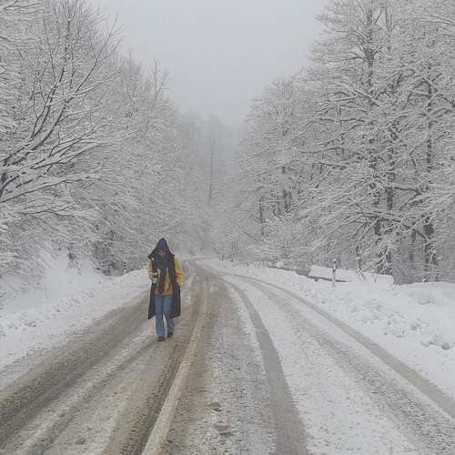 Photo #11780972