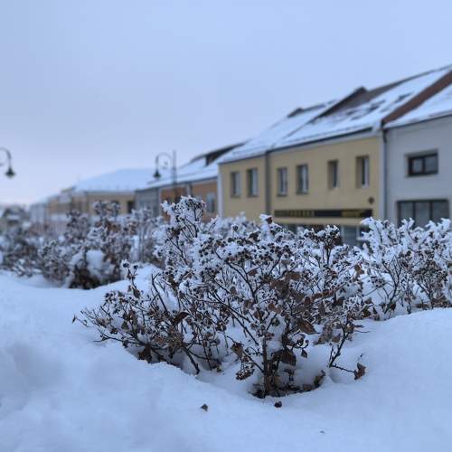 Photo #11781037