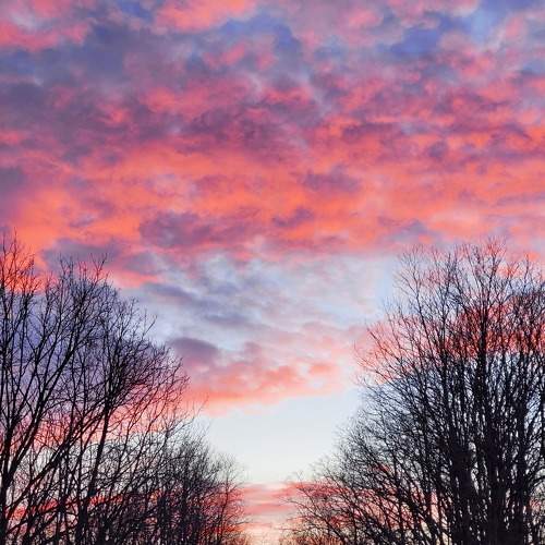 Cotton Candy Morning