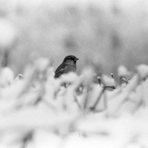 Photo #11781563